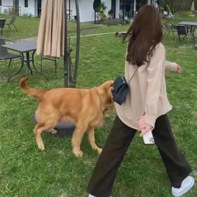 沙之痕